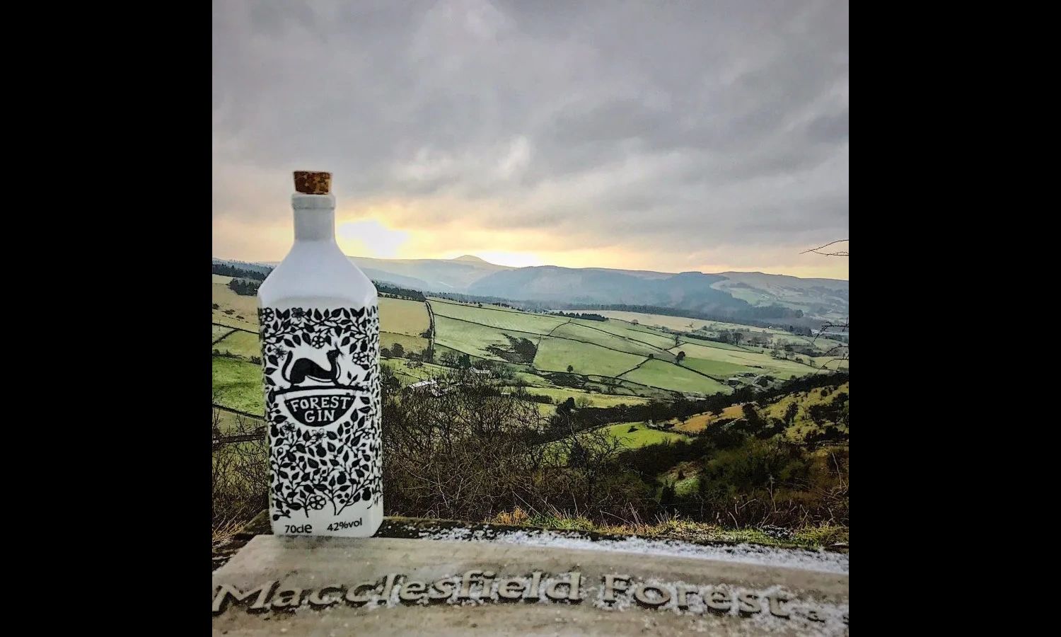 Forest Gin (70cl) 42% only £51.99