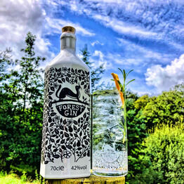 Forest Gin (70cl) 42%