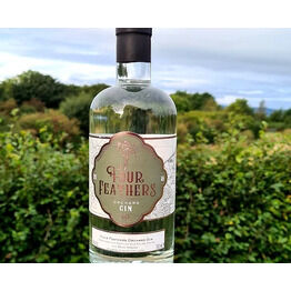 Four Feathers Orchard Gin (70cl) 41%