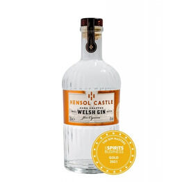 Hensol Castle Welsh Dry Gin 70cl (41% ABV)