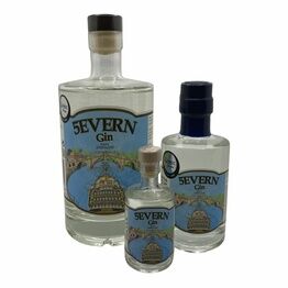 Hintons of Bewdley 5evern Gin 70cl (57% ABV)