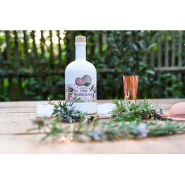 Pink Marmalade Gin 70cl (42% ABV)