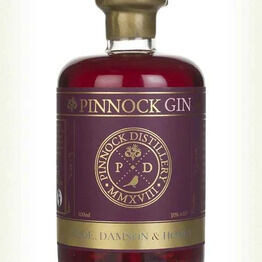 Pinnock Sloe, Damson & Honey Gin 50cl (30% ABV)