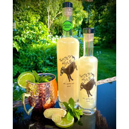 Twisted Mule Moscow Mule Gin (50cl) 40%