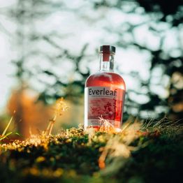 Everleaf Mountain Non Alcoholic Aperitif Spirit (50cl) 0%