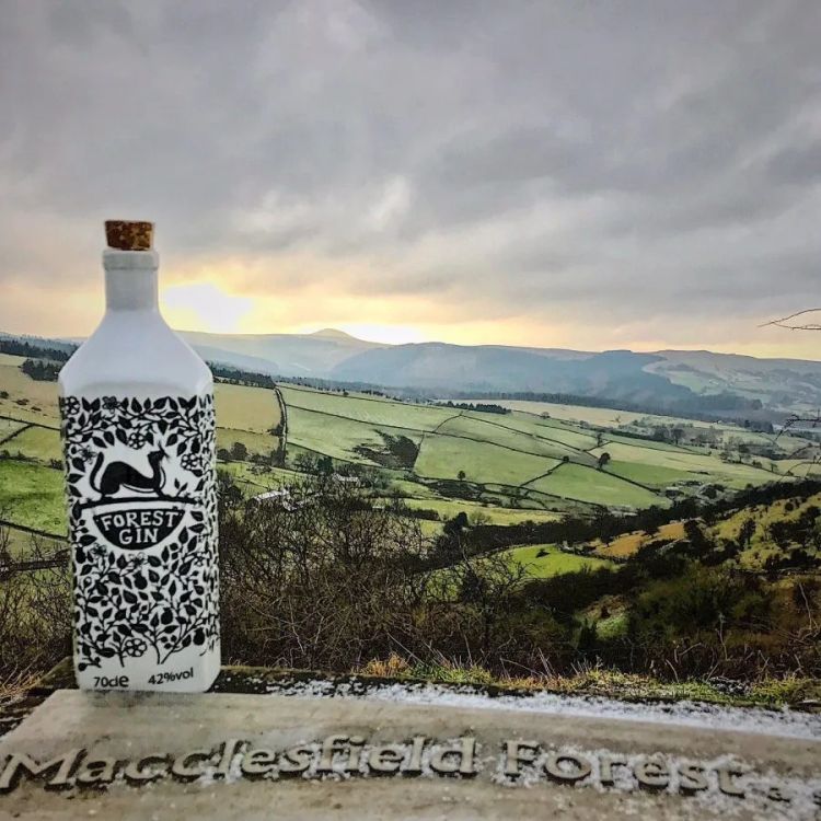 Forest Gin (70cl) 42% only £51.99