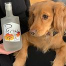Persie Spaniel Gin (50cl, 41%) additional 2