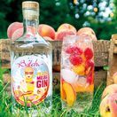 Batch Peach Melba Gin (70cl) 40% additional 2