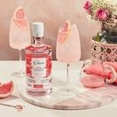 Chase Pink Grapefruit & Pomelo Gin (70cl) additional 3