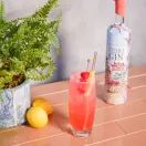 Copper in the Clouds Lychee &amp; Raspberry Gin (70cl) 40% additional 3