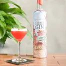 Copper in the Clouds Lychee &amp; Raspberry Gin (70cl) 40% additional 5