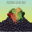 Finger Lime Gin (That Boutique-y Gin Company) (70cl) 46% additional 2