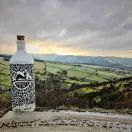 Forest Gin (70cl) 42% additional 3