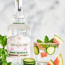 Gin Lane 1751 Cucumber, Watermelon & Mint Gin (70cl) 40% additional 2