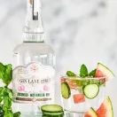 Gin Lane 1751 Cucumber, Watermelon &amp; Mint Gin (70cl) 40% additional 2