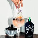 Junipero Gin (70cl) 49.3% additional 2