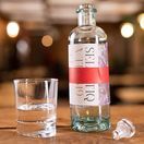 Selvatiq Beyond Gin (50cl) 40% additional 3