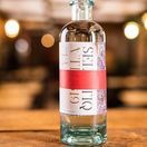 Selvatiq Beyond Gin (50cl) 40% additional 2