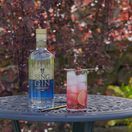 Sing Gin (70cl) 40% additional 4