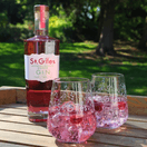 St. Giles Raspberry, Rhubarb &amp; Ginger Gin (70cl) 40% additional 2