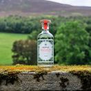 Moorland Spirit Co. Douglas Fir Vodka 50cl (41% ABV) additional 2