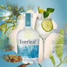 Everleaf Marine Non Alcoholic Aperitif Spirit (50cl) 0% additional 3
