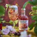 Everleaf Mountain Non Alcoholic Aperitif Spirit (50cl) 0% additional 2