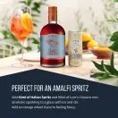 Lyre's Non-Alcoholic Italian Spritz (70cl) 0% additional 6
