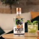Sober Spirits Gin Non - Alcoholic Alternative 0.0% (50cl) 0% additional 1