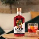 Sober Spirits Bitter Non - Alcoholic Alternative 0.0% (50cl) 0% additional 2