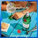 Tanqueray Alcohol Free Spirit Alternative  0.0% (70cl) 0% additional 2