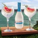 Tarquin's Cornish Dry Non-Alcoholic Spirit (70cl) 0.5% additional 2