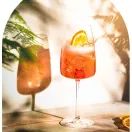 Wilfred's British Non-Alcoholic Aperitif (50cl) 0% additional 4