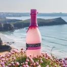 Tarquin's Pink Lemon, Grapefruit and Peppercorn Gin (70cl) additional 2