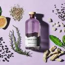 Great Glen - Premium Scottish Gin Miniature (10cl, 43%) additional 3