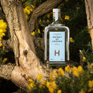Holyrood - Bright - Height of Arrows Gin (70cl, 48%) additional 2
