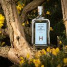 Holyrood - Bright - Height of Arrows Gin (70cl, 48%) additional 2