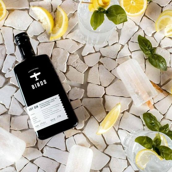 BIRDS Dry Gin (50cl) 42%