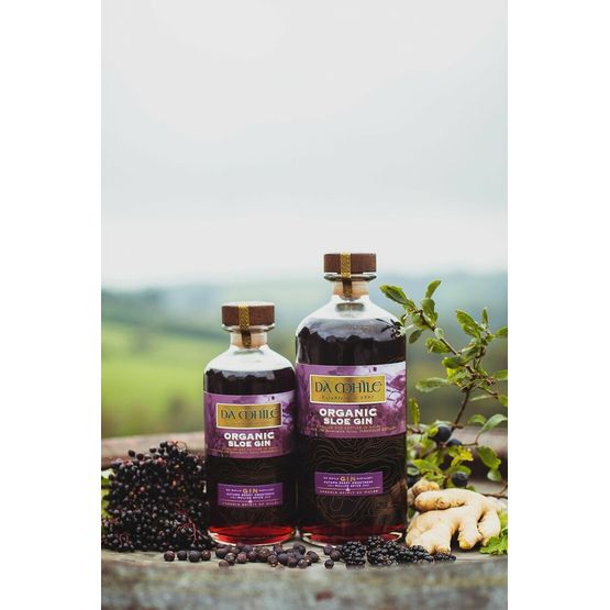 Dà Mhìle Sloe Gin 70cl (25% ABV)