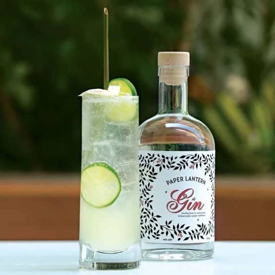 Paper Lantern Gin (70cl) 40%